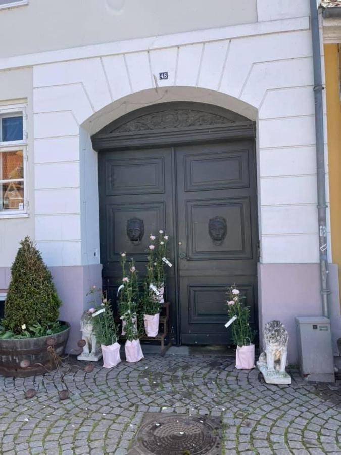 Bed and Breakfast Apothekergaarden Stege Stuen Mod Gardhaven Exterior foto